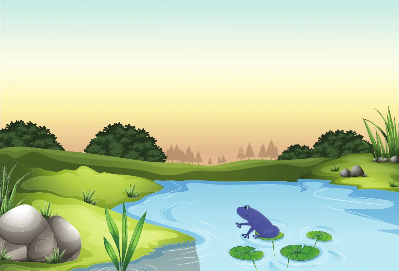 Froschi Gute Nacht Geschichte